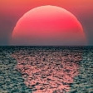 Meet your Posher, Joni